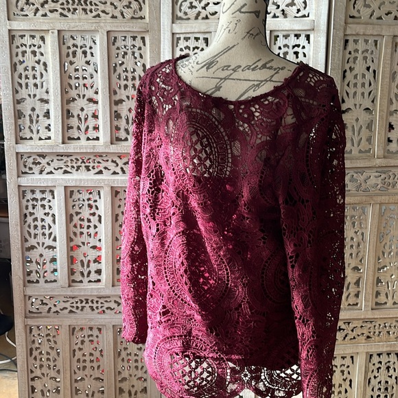 Lace plum top nwot with scalloped hem and long sleeves. Fully lined - Picture 3 of 3